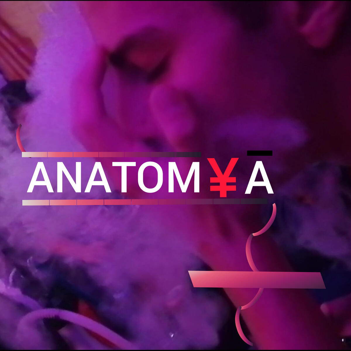 Anatomya