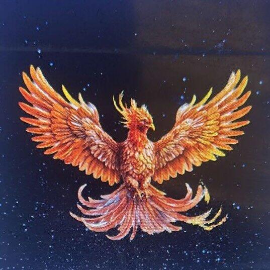 neoemperorsfreestyle